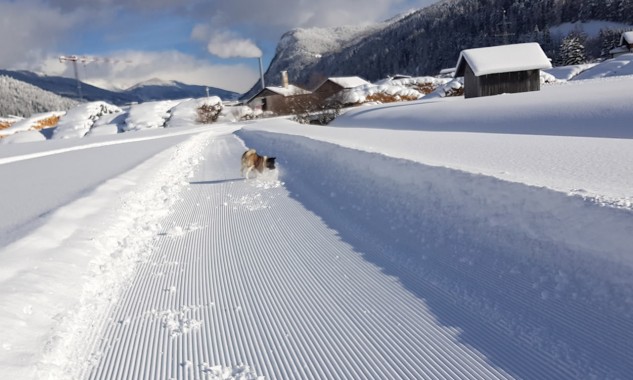 Winterspaziergang mit unserem Hund in Radstadt